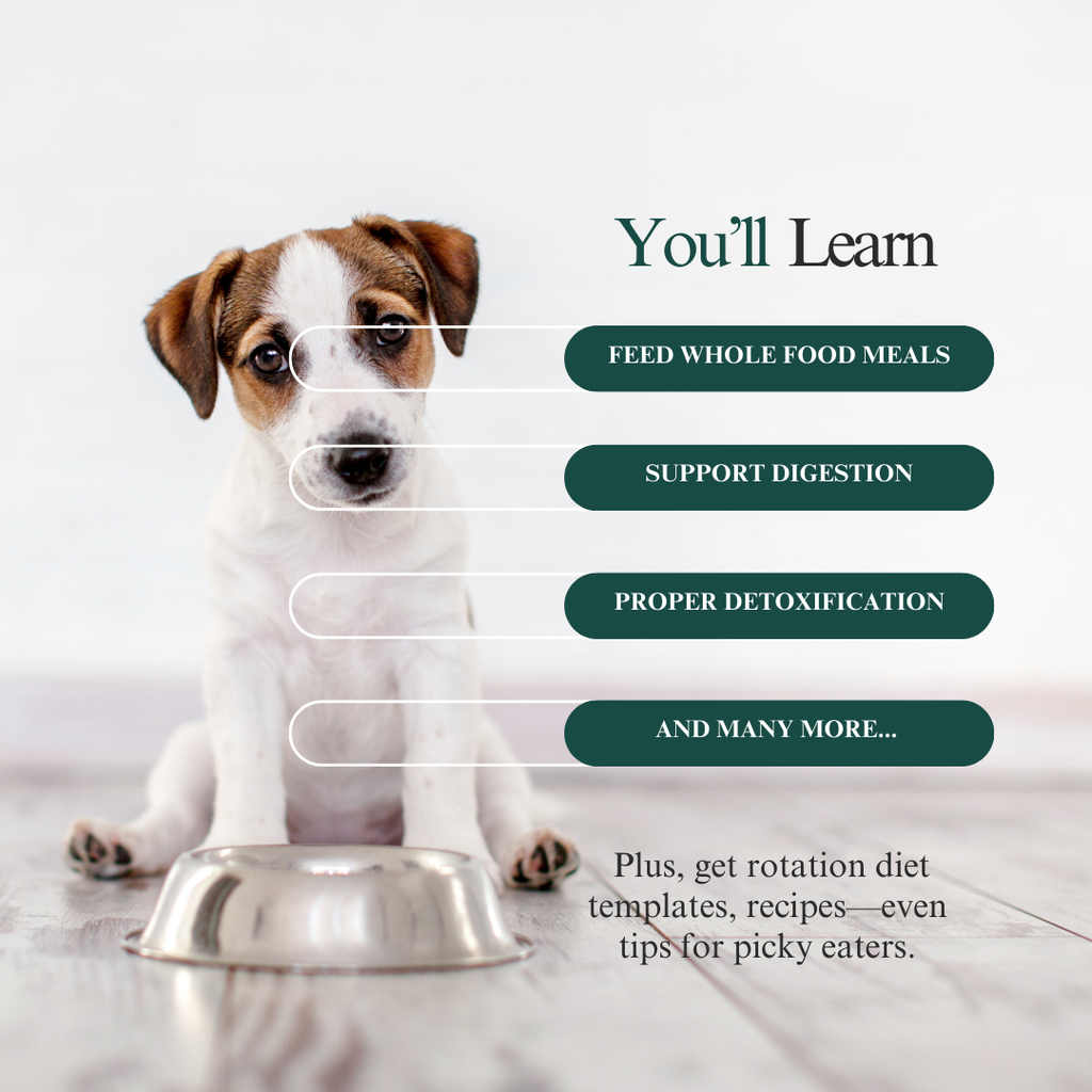 The Pet Parents Holistic Health_ Toolkit 