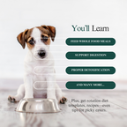The Pet Parents Holistic Health_ Toolkit 