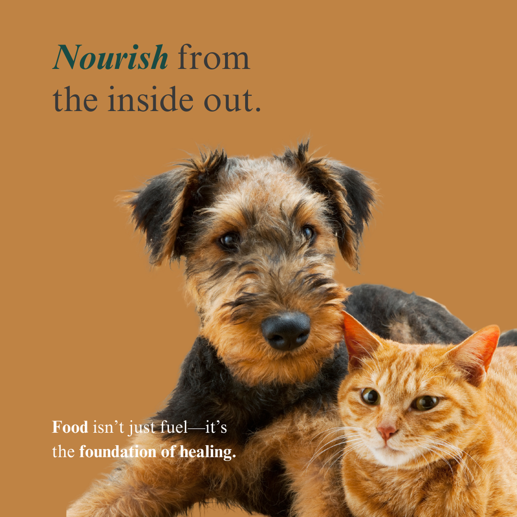 Pet Parents Holistic Health Toolkit for Sale