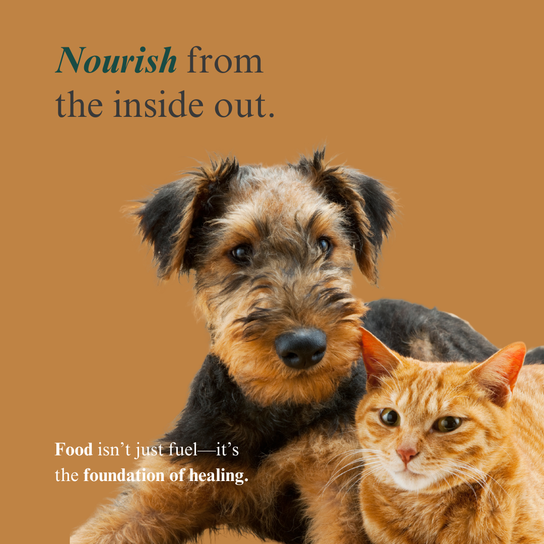 Pet Parents Holistic Health Toolkit for Sale