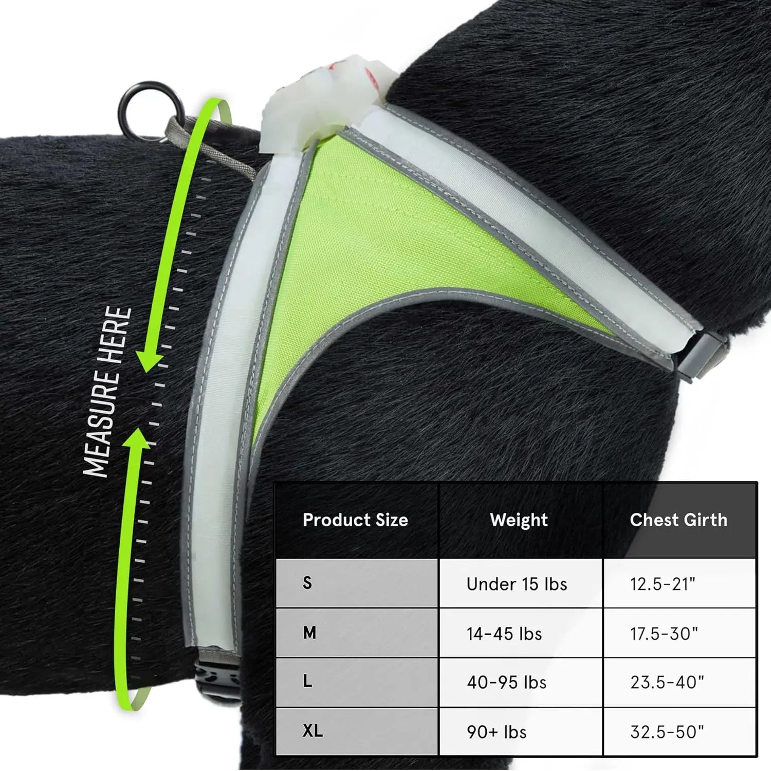 Dog harness with measurement guide and size chart on a white background