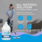 Urine B-Gone Enzyme Pet Odor Eliminator & Stain Remover – Lavender/Citrus Scent