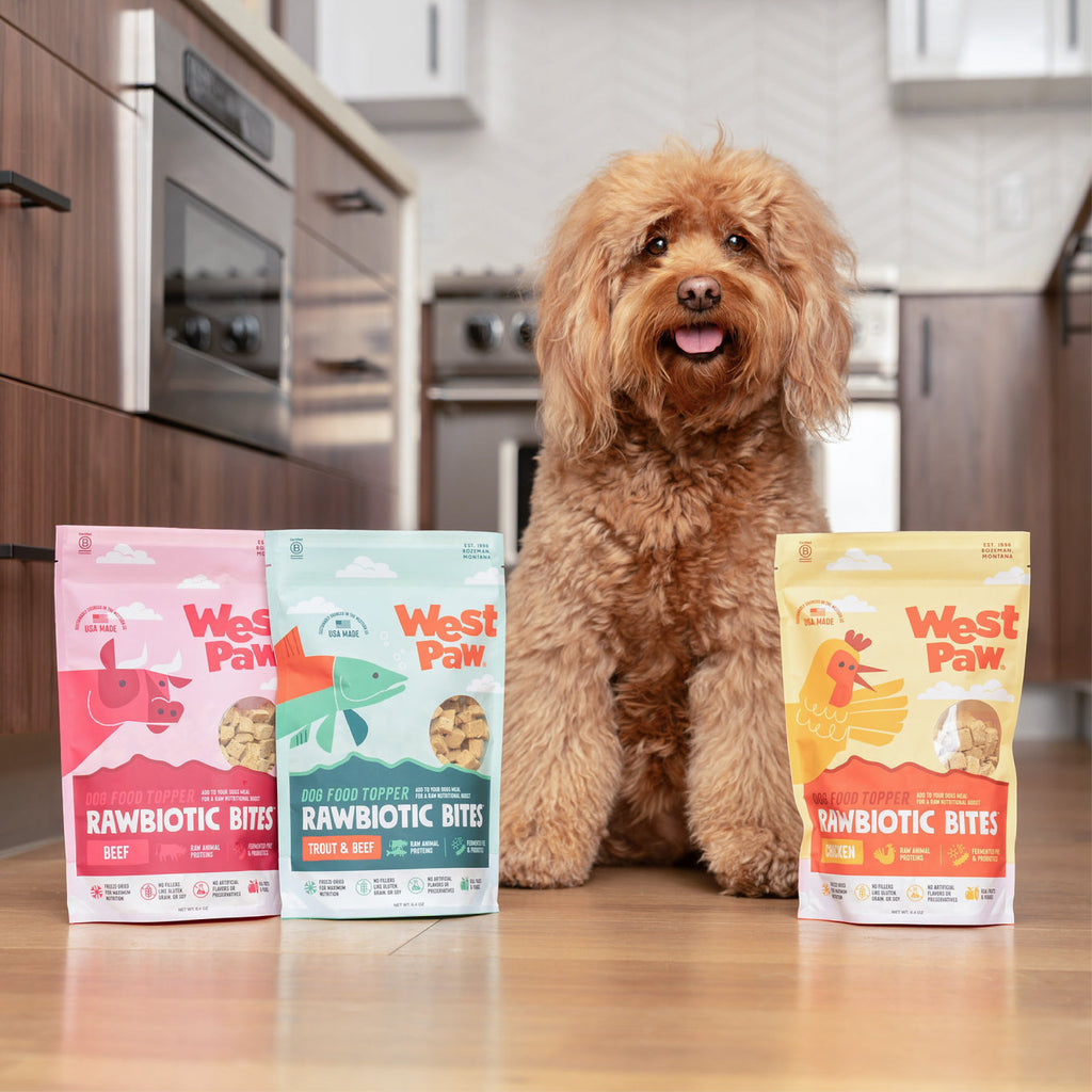 Dog sitting on a kitchen floor with West Paw Rawbiotic Bites packages in front of it.
