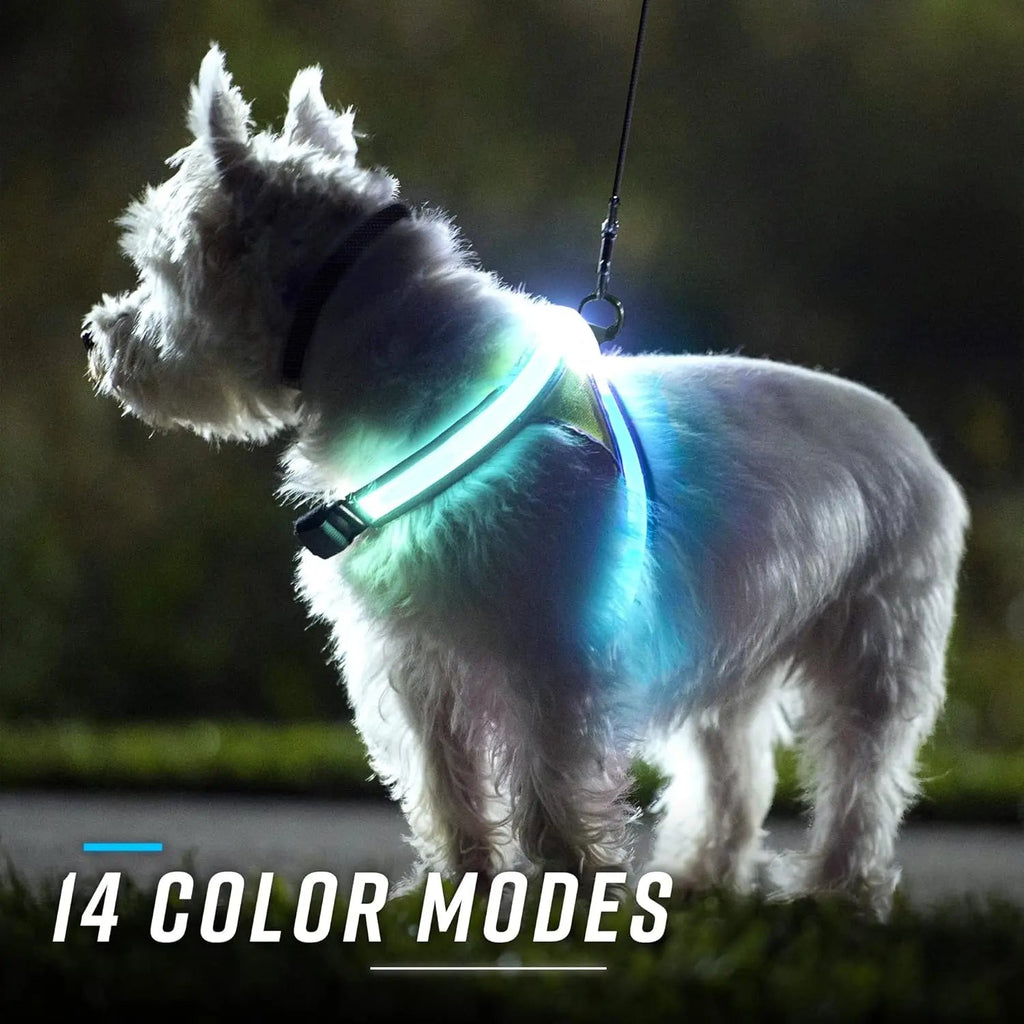 White dog wearing a glowing harness with '14 Color Modes' text.