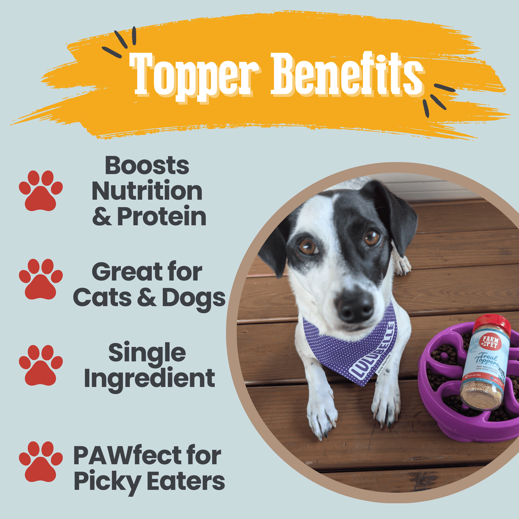 Dog with a bowl of food and a supplement bottle on a wooden floor, surrounded by text about topper benefits.