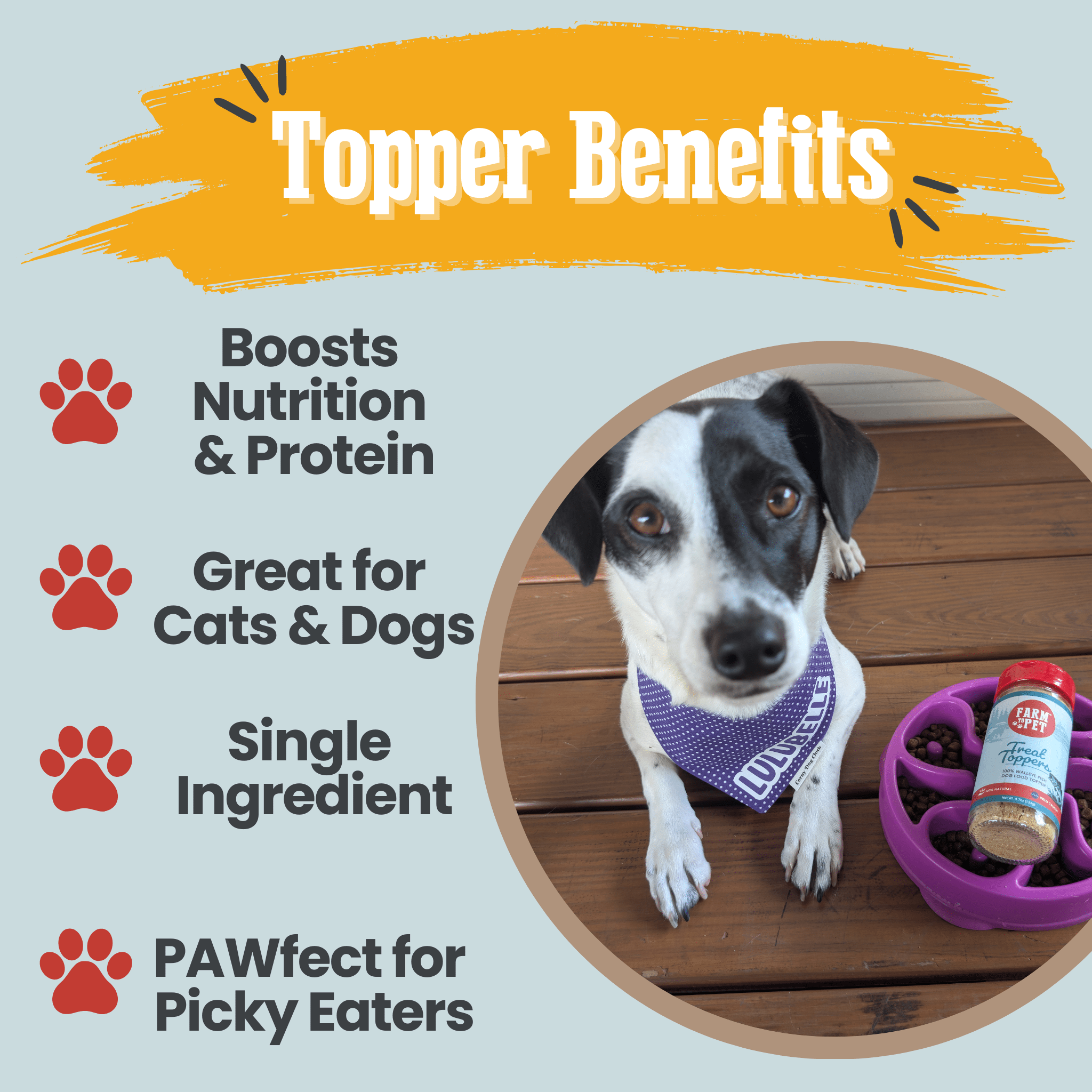 Dog with a bowl of food and a supplement bottle on a wooden floor, surrounded by text about topper benefits.