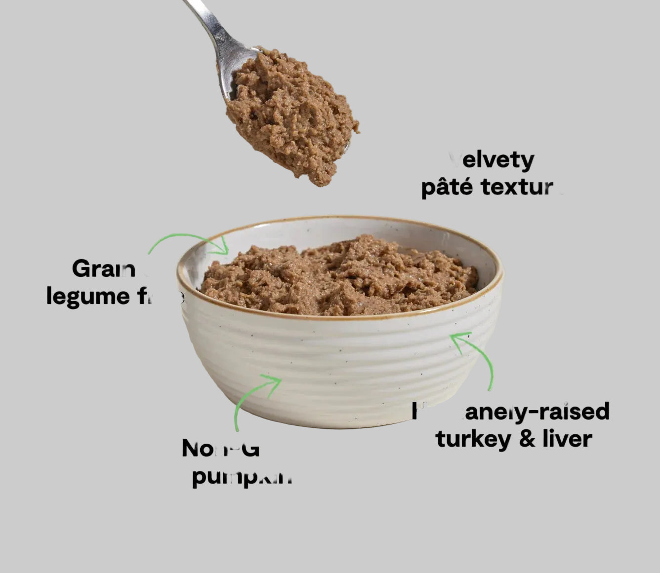 Bowl of pet food with a spoonful above