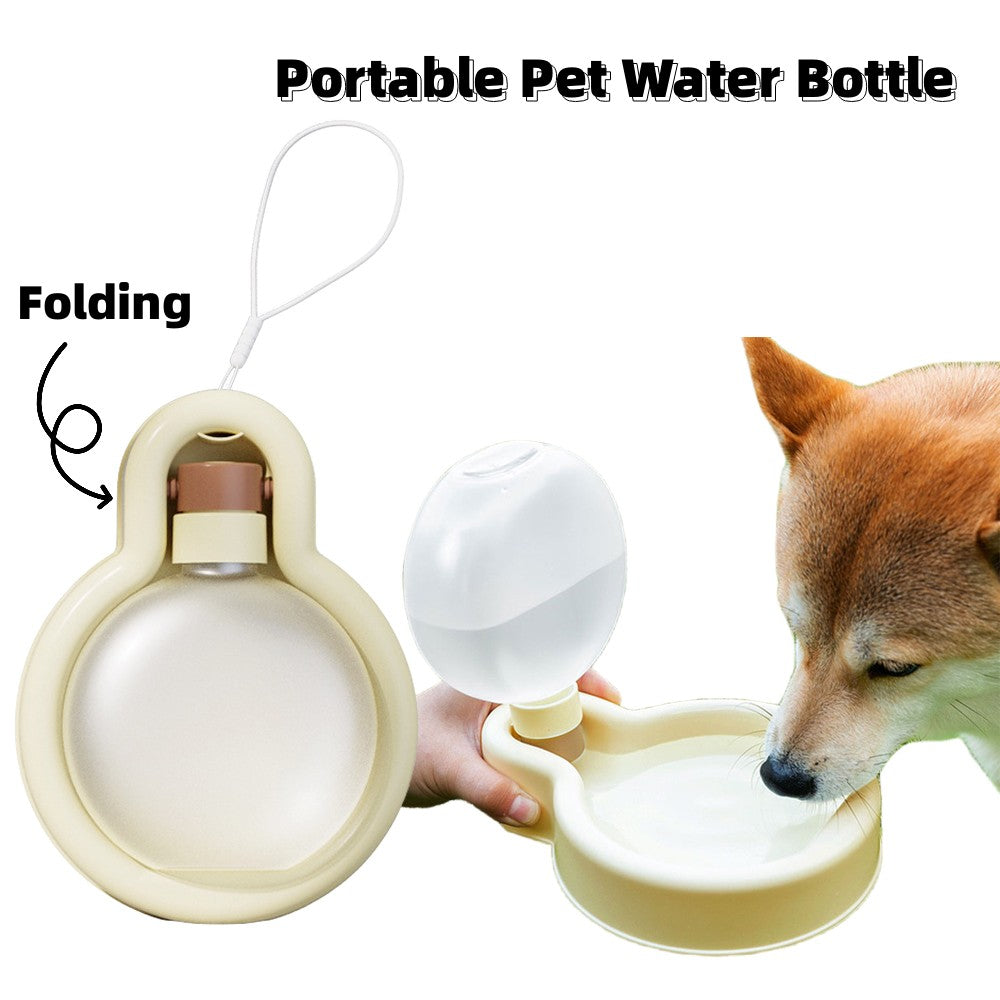 Buy collapsible dog bowl