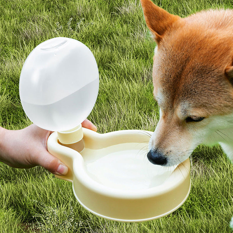 collapsible dog bowl for Sale