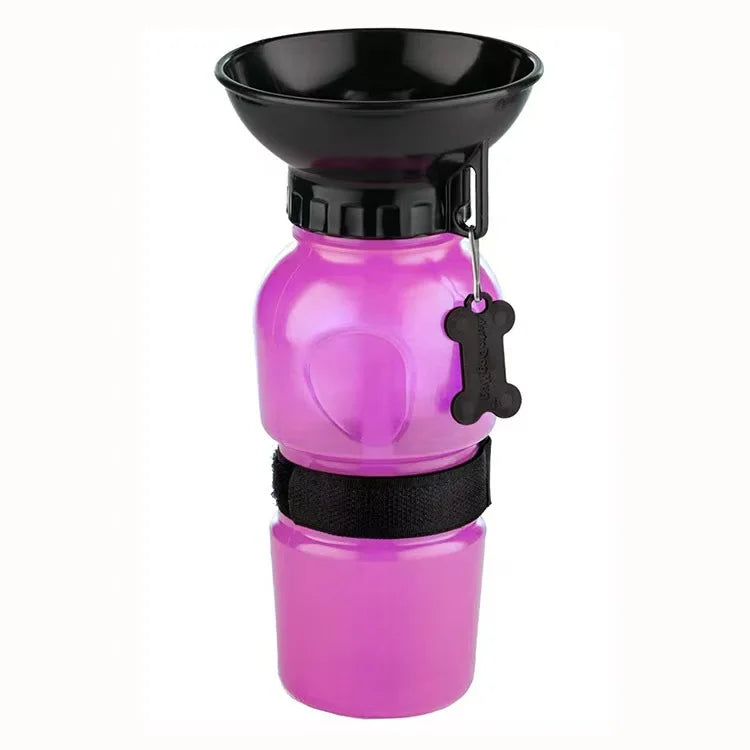 dog drinking bottle