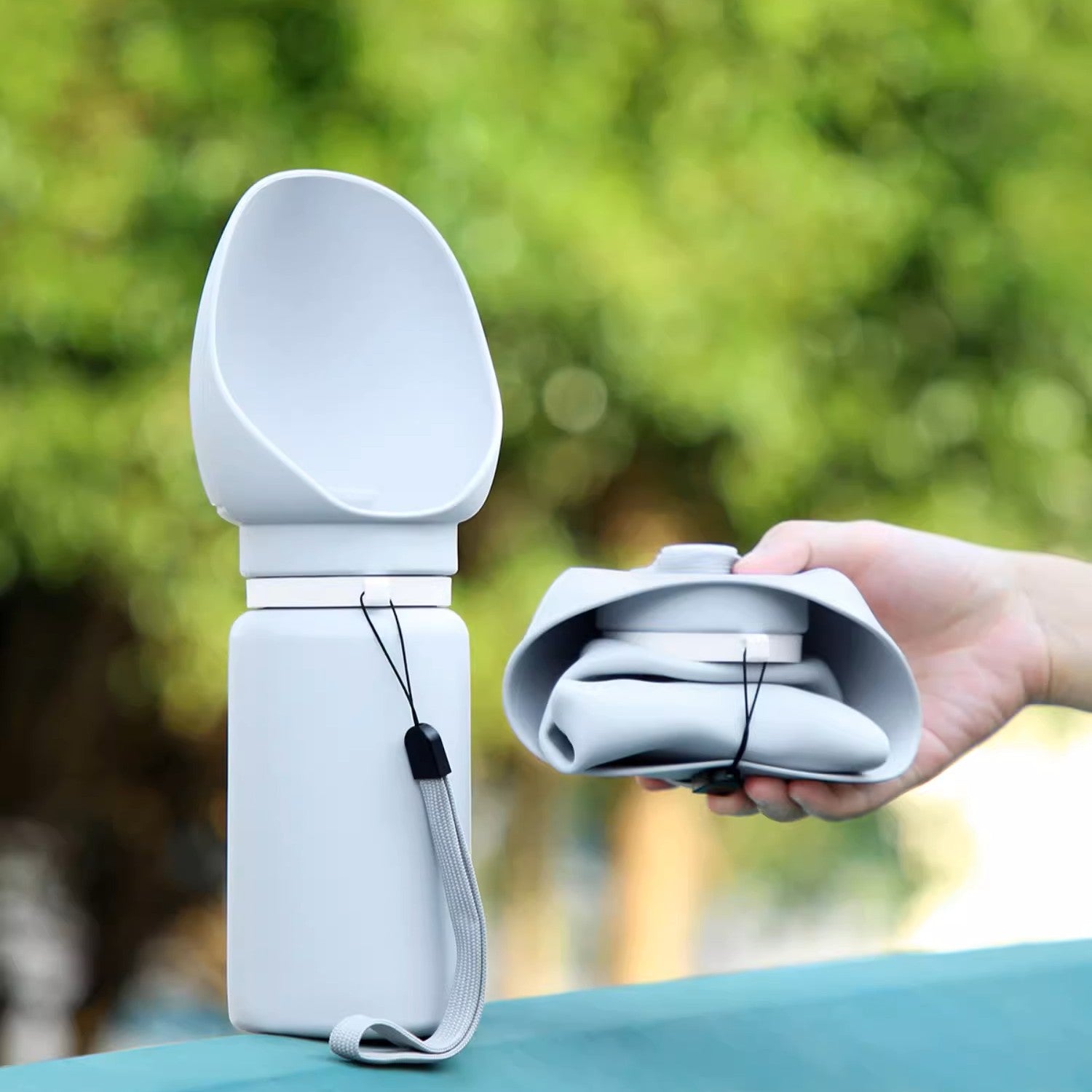 dog outdoor essentials