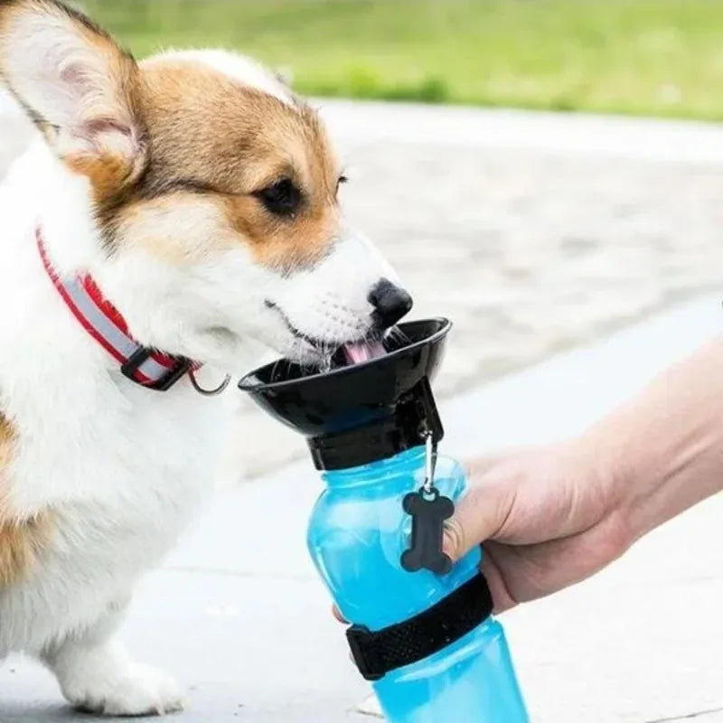 dog travel water bottle