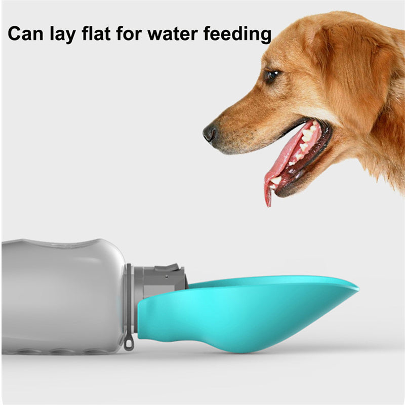 Buy Travel dog water bottle