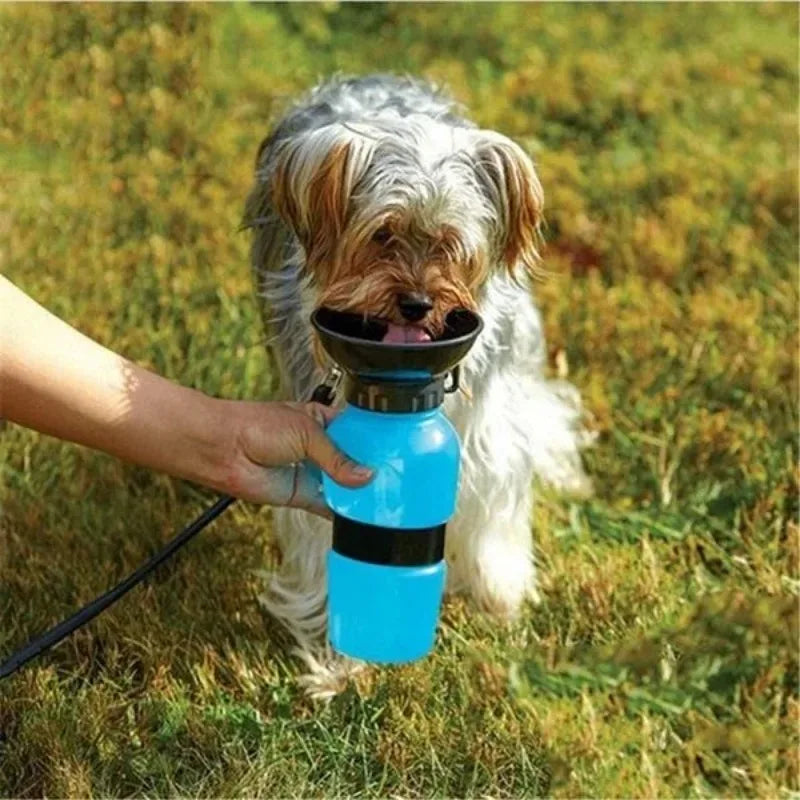 Explore dog water bottle travel