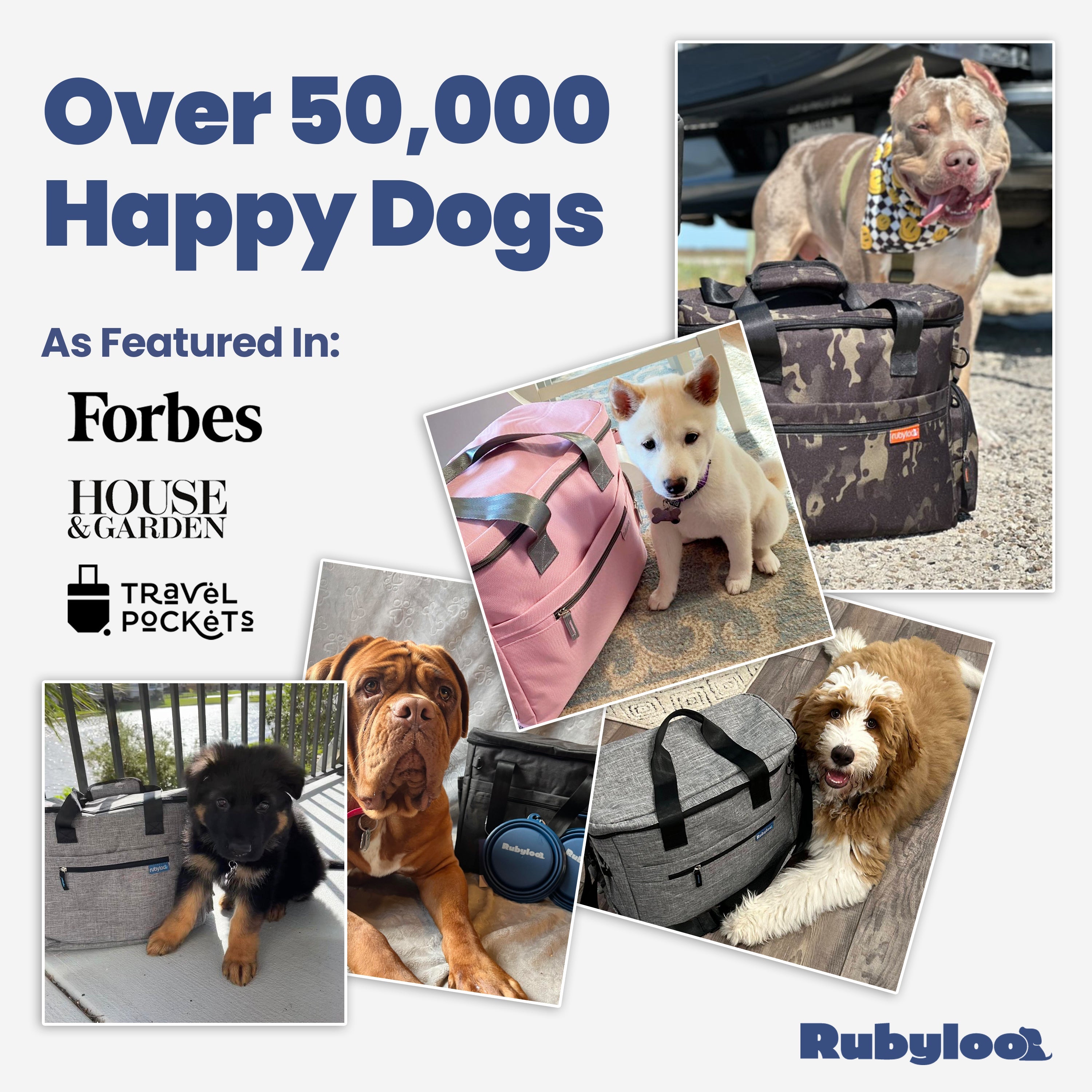 Collage of dogs with Rubyloo pet carriers, featuring text about happy dogs and media mentions.