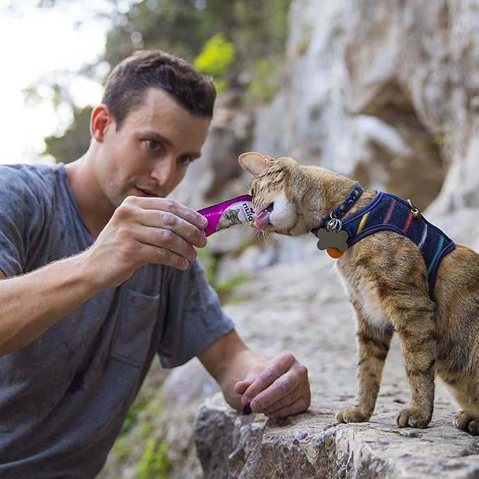 Man feeding a cat from a pouch outdoors on a rocky path
