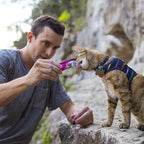 Man feeding a cat from a pouch outdoors on a rocky path