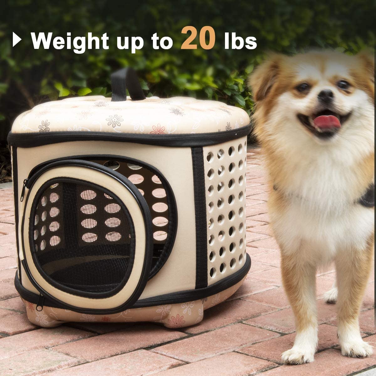 foldable pet travel carrier usa