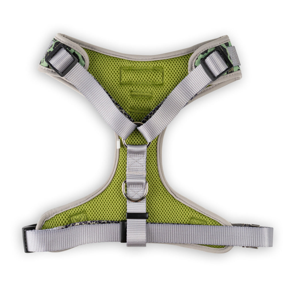 Green and gray dog harness on a white background