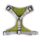 Green and gray dog harness on a white background