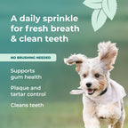 support gum health cleans teeth