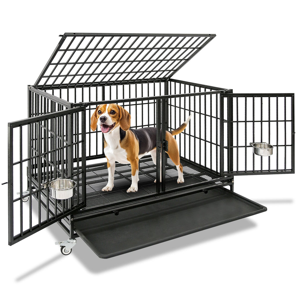 Multi dog household crate