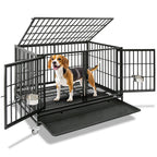 Multi dog household crate