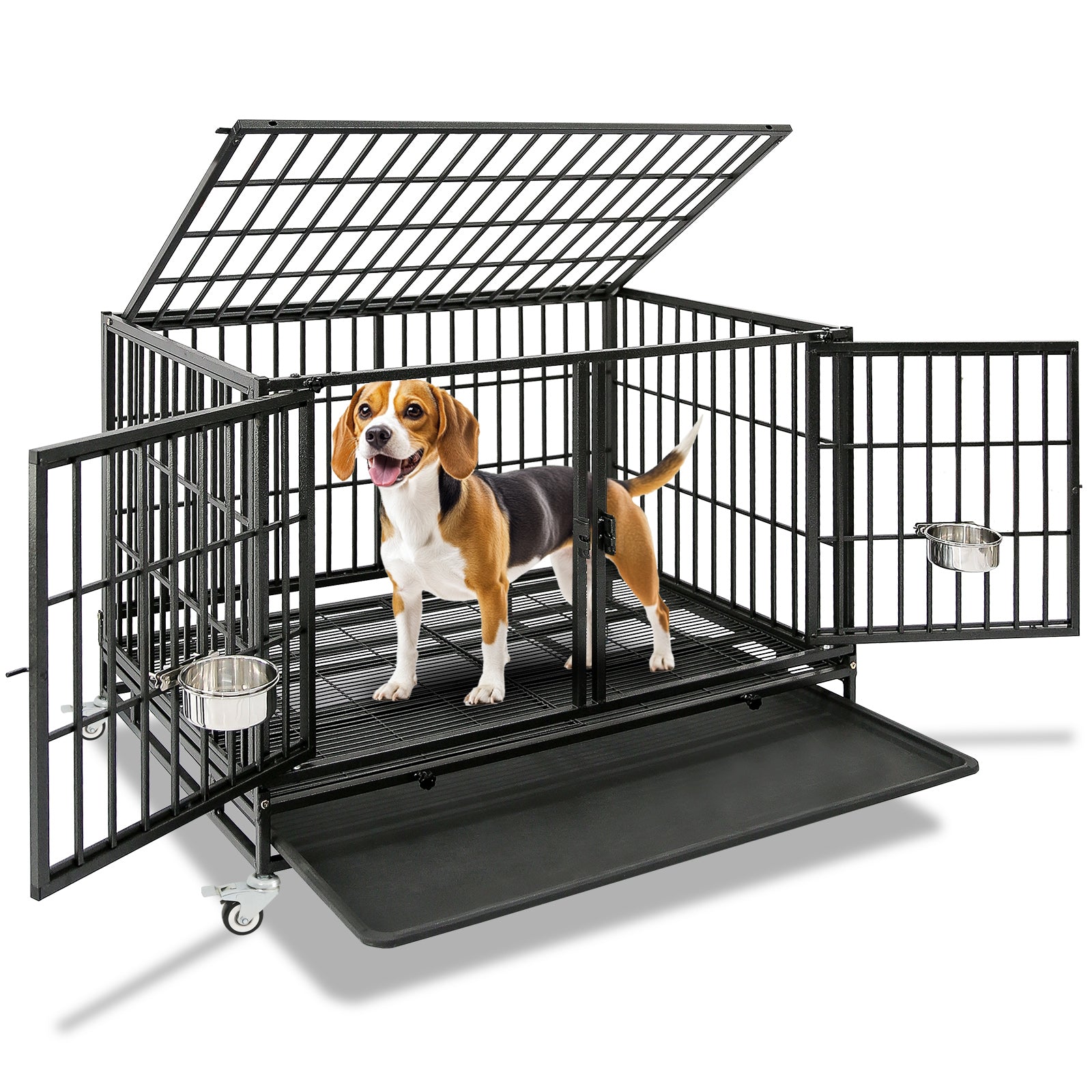 Multi dog household crate