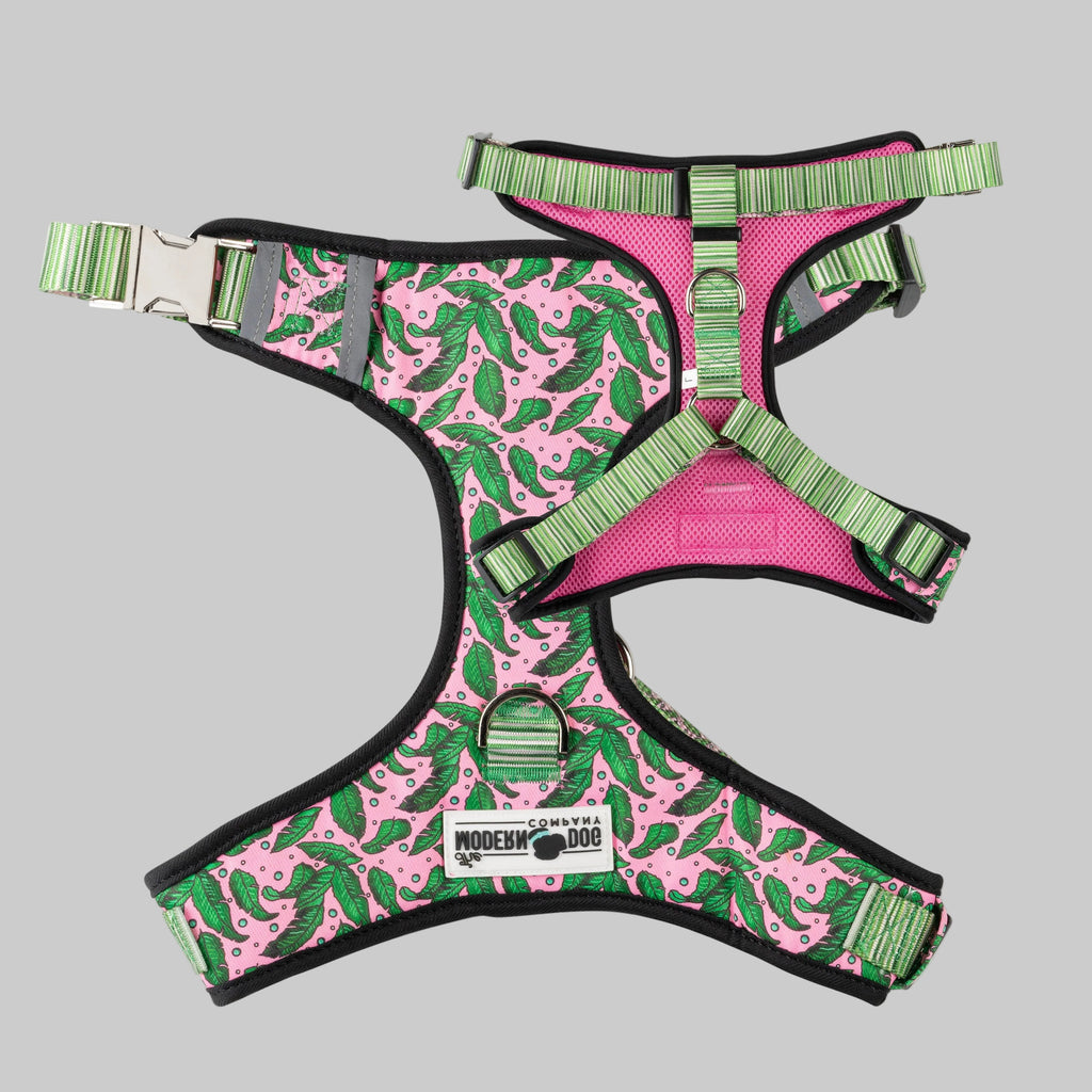 Pink and green patterned dog harness with 'The Modern Dog Company' label on a white background