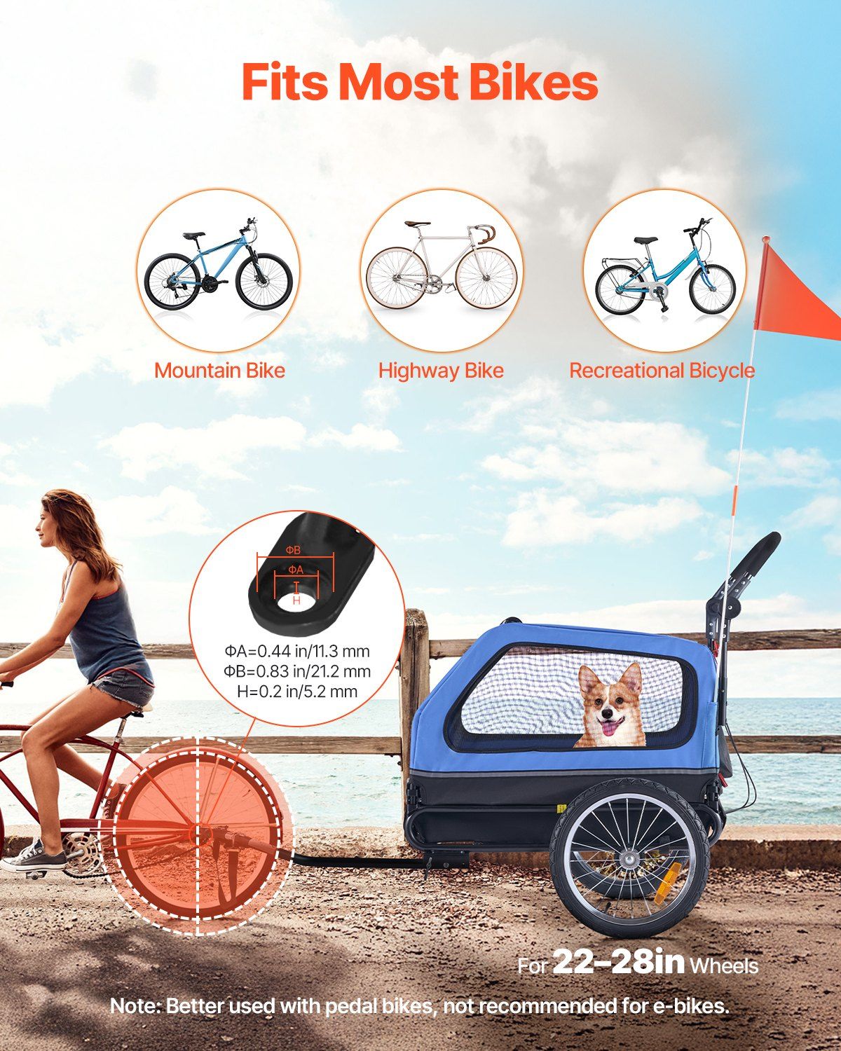 pet Carrier
