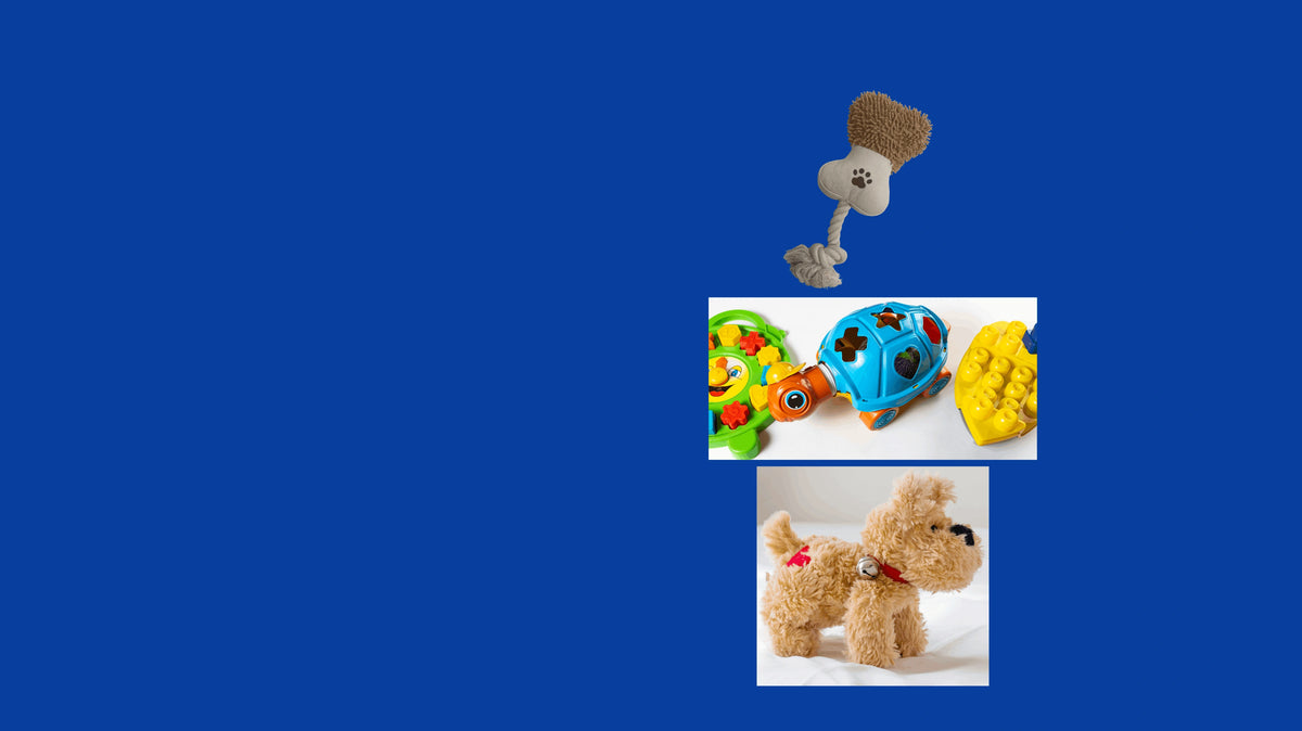 Best-selling cat toys, scratching accessories and enrichment products for indoor cats.