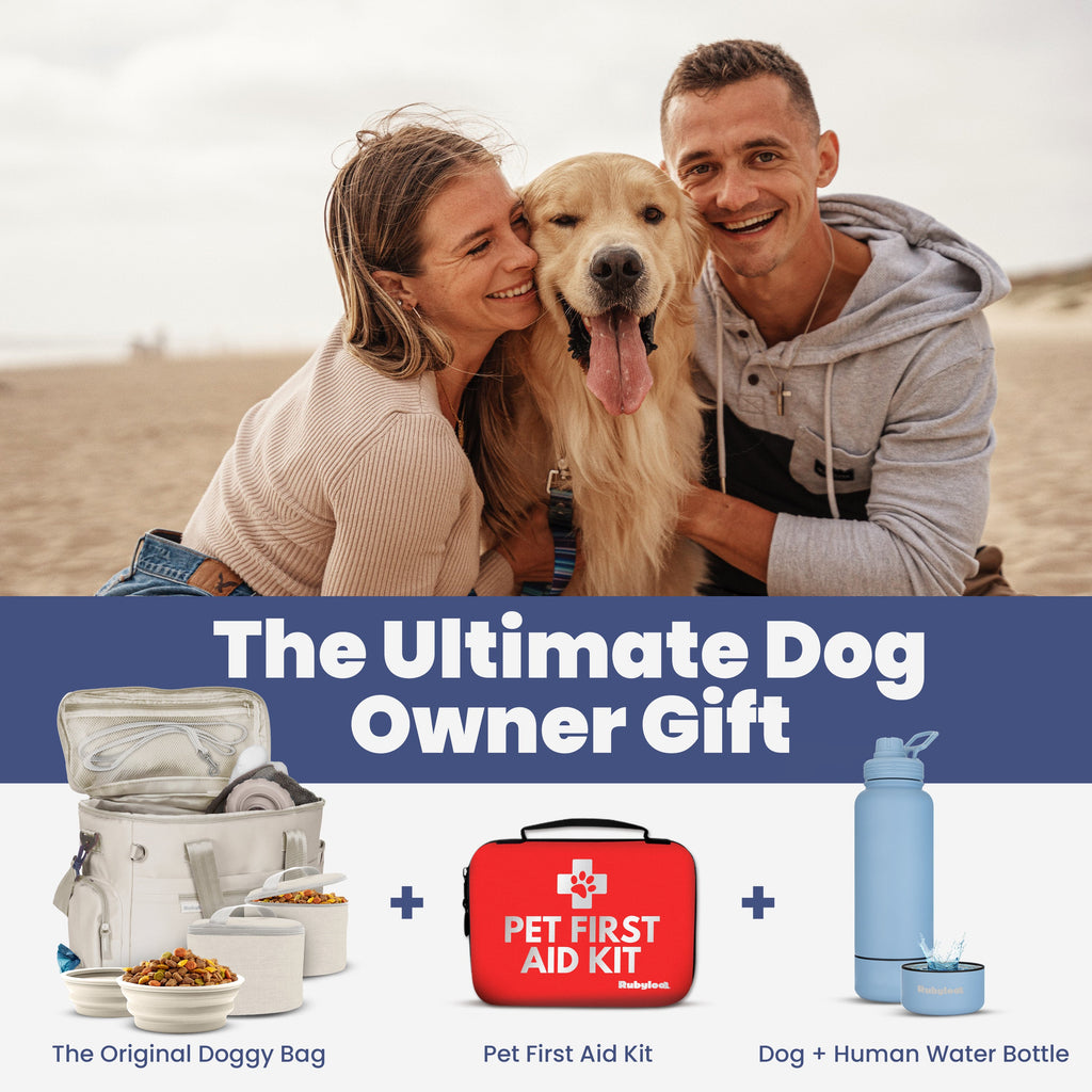 Couple with a dog on a beach, featuring pet products