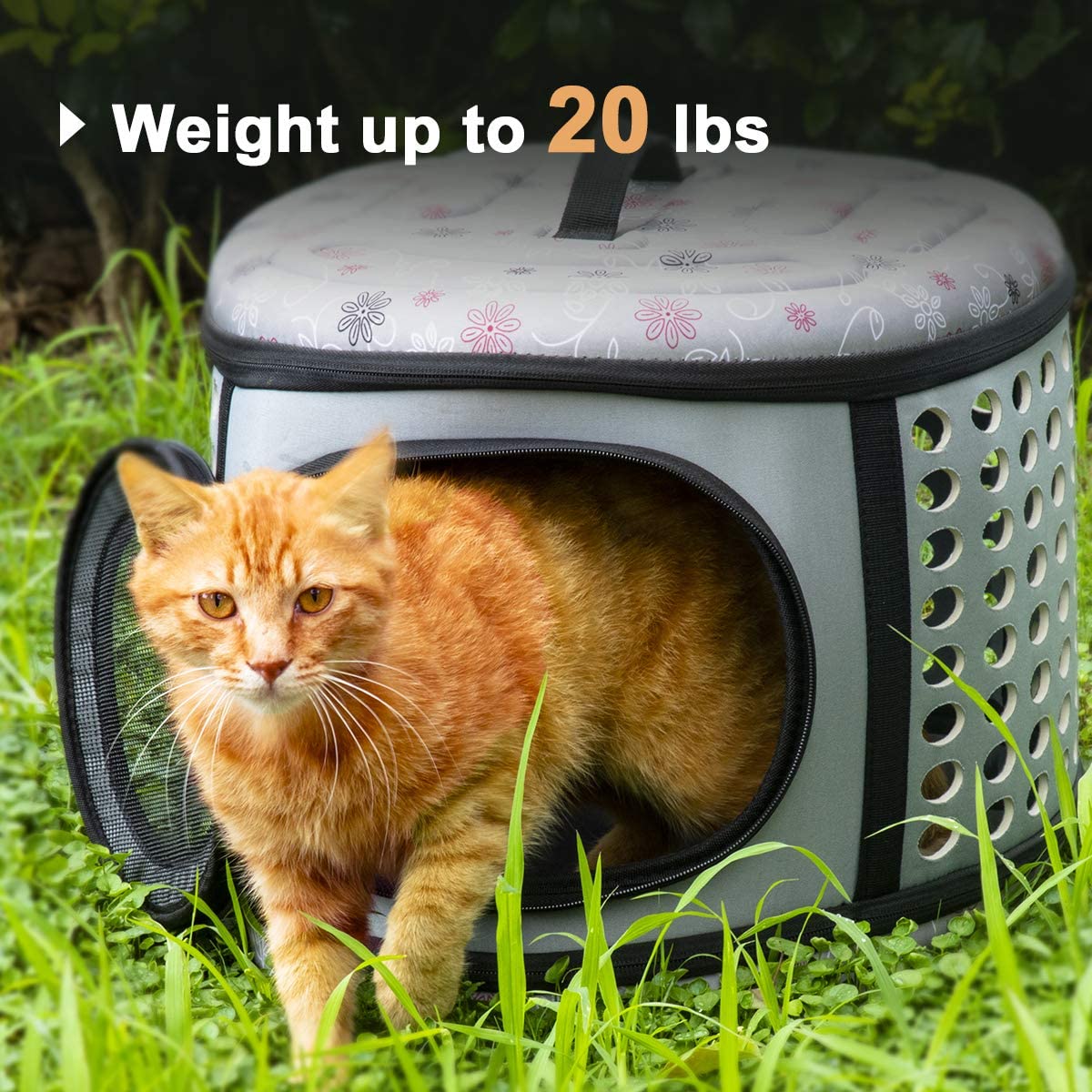 small medium cat carrier foldable