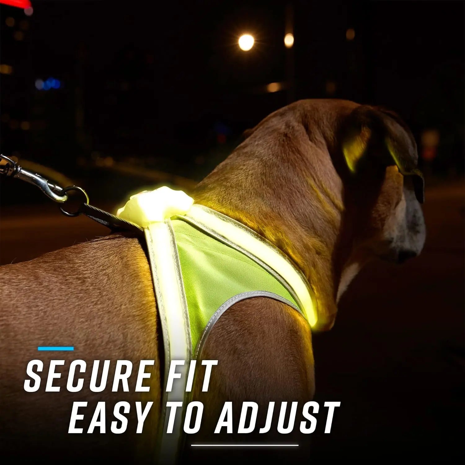 Dog wearing a bright yellow reflective harness at night with text 'Secure Fit Easy to Adjust'.